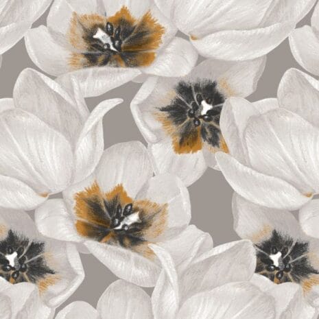 1354_1497_600_600_scale