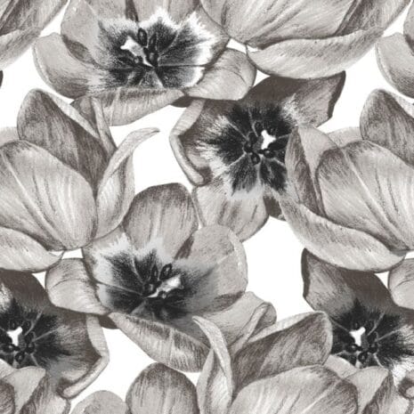 1360_1509_600_600_scale 1360_1509_600_600_scale