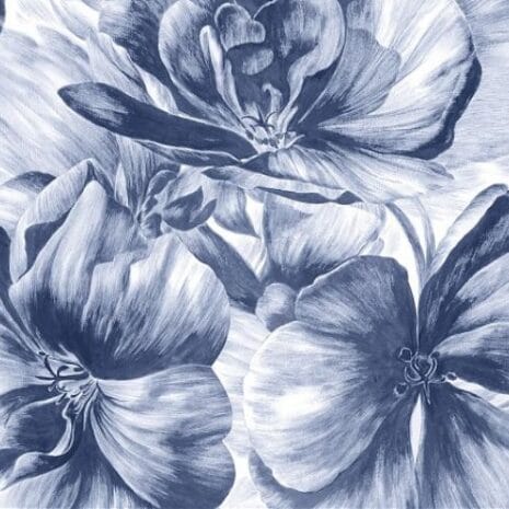 164_146_600_600_scale