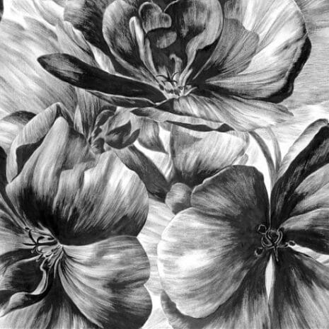 165_145_600_600_scale