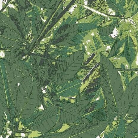 174_139_600_600_scale