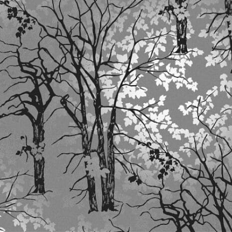 623_804_600_600_scale