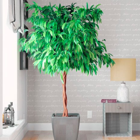 sandudd_rolleri_9_text sandudd_rolleri_9_text