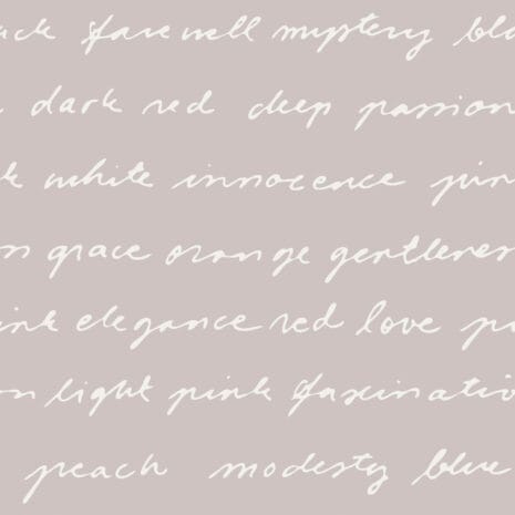 sandudd_rolleri_IX_5284-1