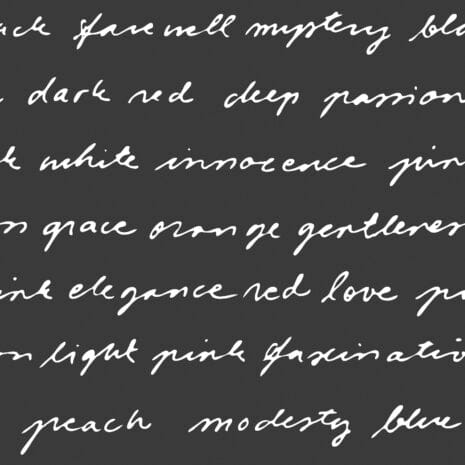 sandudd_rolleri_IX_5284-2