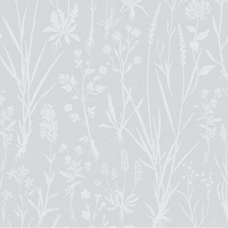 440_510_600_600_scale 440_510_600_600_scale