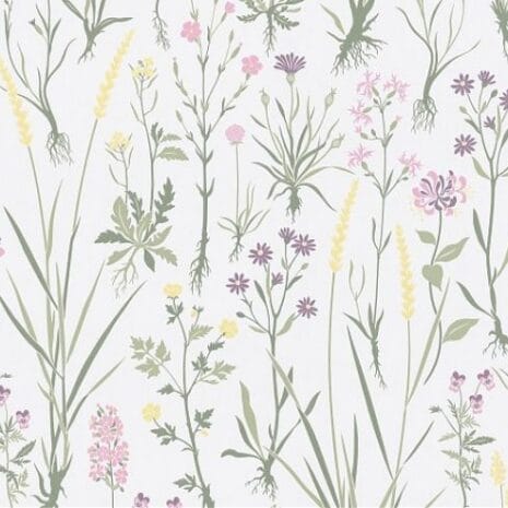 455_503_600_600_scale 455_503_600_600_scale