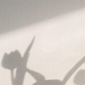 Ilmari_beige_tapetti